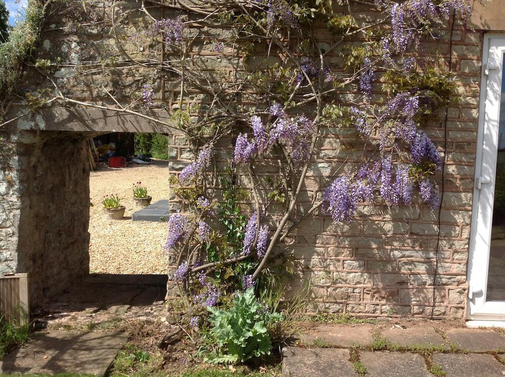 Bed and Breakfast The Coach House Ross-on-Wye Exterior foto